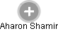  Aharon S. - Vizualizace  propojení osoby a firem v obchodním rejstříku