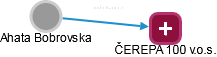 Ahata Bobrovska - Vizualizace  propojení osoby a firem v obchodním rejstříku