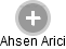 Ahsen Arici - Vizualizace  propojení osoby a firem v obchodním rejstříku