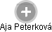 Aja Peterková - Vizualizace  propojení osoby a firem v obchodním rejstříku