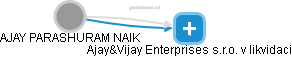  Ajay N. - Vizualizace  propojení osoby a firem v obchodním rejstříku