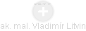 Vladimír Litvin - Vizualizace  propojení osoby a firem v obchodním rejstříku