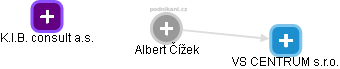  Albert Č. - Vizualizace  propojení osoby a firem v obchodním rejstříku