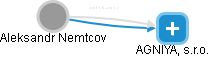 Aleksandr Nemtcov - Vizualizace  propojení osoby a firem v obchodním rejstříku