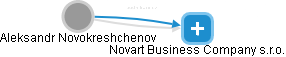 Aleksandr Novokreshchenov - Vizualizace  propojení osoby a firem v obchodním rejstříku