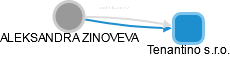 ALEKSANDRA ZINOVEVA - Vizualizace  propojení osoby a firem v obchodním rejstříku