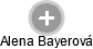 Alena Bayerová - Vizualizace  propojení osoby a firem v obchodním rejstříku