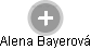 Alena Bayerová - Vizualizace  propojení osoby a firem v obchodním rejstříku