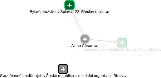 Alena Césarová - Vizualizace  propojení osoby a firem v obchodním rejstříku