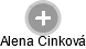 Alena Cinková - Vizualizace  propojení osoby a firem v obchodním rejstříku