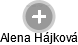 Alena Hájková - Vizualizace  propojení osoby a firem v obchodním rejstříku