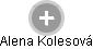 Alena Kolesová - Vizualizace  propojení osoby a firem v obchodním rejstříku