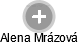 Alena Mrázová - Vizualizace  propojení osoby a firem v obchodním rejstříku