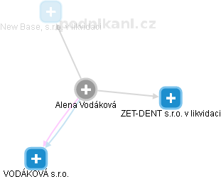 Alena Vodáková - Vizualizace  propojení osoby a firem v obchodním rejstříku
