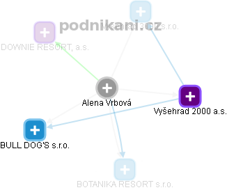  Alena V. - Vizualizace  propojení osoby a firem v obchodním rejstříku