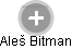 Aleš Bitman - Vizualizace  propojení osoby a firem v obchodním rejstříku
