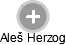 Aleš Herzog - Vizualizace  propojení osoby a firem v obchodním rejstříku