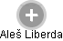 Aleš Liberda - Vizualizace  propojení osoby a firem v obchodním rejstříku