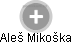  Aleš Mikoška - Vizualizace  propojení osoby a firem v obchodním rejstříku
