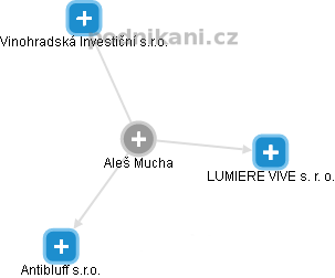  Aleš M. - Vizualizace  propojení osoby a firem v obchodním rejstříku