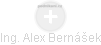  Alex B. - Vizualizace  propojení osoby a firem v obchodním rejstříku