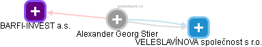 Alexander Georg Stier - Vizualizace  propojení osoby a firem v obchodním rejstříku