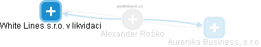  Alexander R. - Vizualizace  propojení osoby a firem v obchodním rejstříku