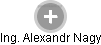  Alexandr N. - Vizualizace  propojení osoby a firem v obchodním rejstříku