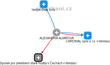  Alexandra A. - Vizualizace  propojení osoby a firem v obchodním rejstříku