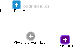 Alexandra Horáčková - Vizualizace  propojení osoby a firem v obchodním rejstříku
