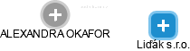 ALEXANDRA OKAFOR - Vizualizace  propojení osoby a firem v obchodním rejstříku