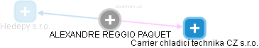  Reggio A. - Vizualizace  propojení osoby a firem v obchodním rejstříku