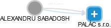  Sabadosh A. - Vizualizace  propojení osoby a firem v obchodním rejstříku