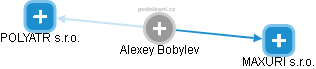 Alexey Bobylev - Vizualizace  propojení osoby a firem v obchodním rejstříku
