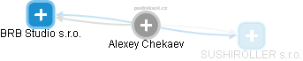 Alexey Chekaev - Vizualizace  propojení osoby a firem v obchodním rejstříku