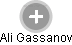 Ali Gassanov - Vizualizace  propojení osoby a firem v obchodním rejstříku
