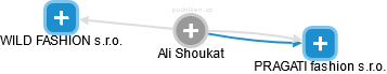 Ali Shoukat - Vizualizace  propojení osoby a firem v obchodním rejstříku