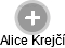 Alice Krejčí - Vizualizace  propojení osoby a firem v obchodním rejstříku