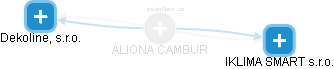  Cambur A. - Vizualizace  propojení osoby a firem v obchodním rejstříku