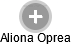 Aliona Oprea - Vizualizace  propojení osoby a firem v obchodním rejstříku