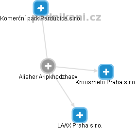 Alisher Aripkhodzhaev - Vizualizace  propojení osoby a firem v obchodním rejstříku