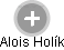 Alois Holík - Vizualizace  propojení osoby a firem v obchodním rejstříku