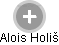 Alois Holiš - Vizualizace  propojení osoby a firem v obchodním rejstříku