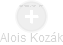 Alois Kozák - Vizualizace  propojení osoby a firem v obchodním rejstříku