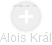 Alois Král - Vizualizace  propojení osoby a firem v obchodním rejstříku