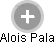 Alois Pala - Vizualizace  propojení osoby a firem v obchodním rejstříku