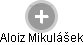 Aloiz Mikulášek - Vizualizace  propojení osoby a firem v obchodním rejstříku