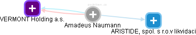 Amadeus Naumann - Vizualizace  propojení osoby a firem v obchodním rejstříku