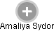 Amaliya Sydor - Vizualizace  propojení osoby a firem v obchodním rejstříku