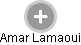 Amar Lamaoui - Vizualizace  propojení osoby a firem v obchodním rejstříku